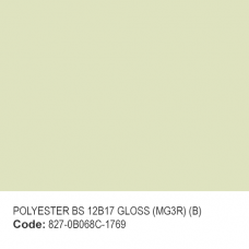 POLYESTER BS 12B17 GLOSS (MG3R) (B)